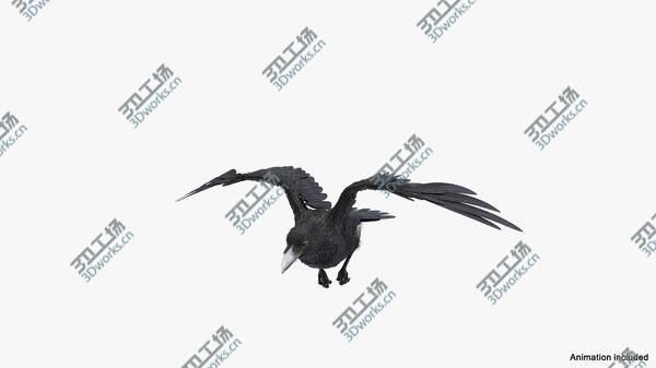 images/goods_img/20210312/Raven Animated Collection 3D model/4.jpg